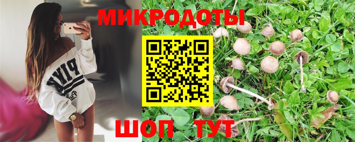 Галлюциногенные грибы Psilocybine cubensis  Галлюциногенные грибы GOLDEN TEACHER  Нурлат  Вход с VPN 