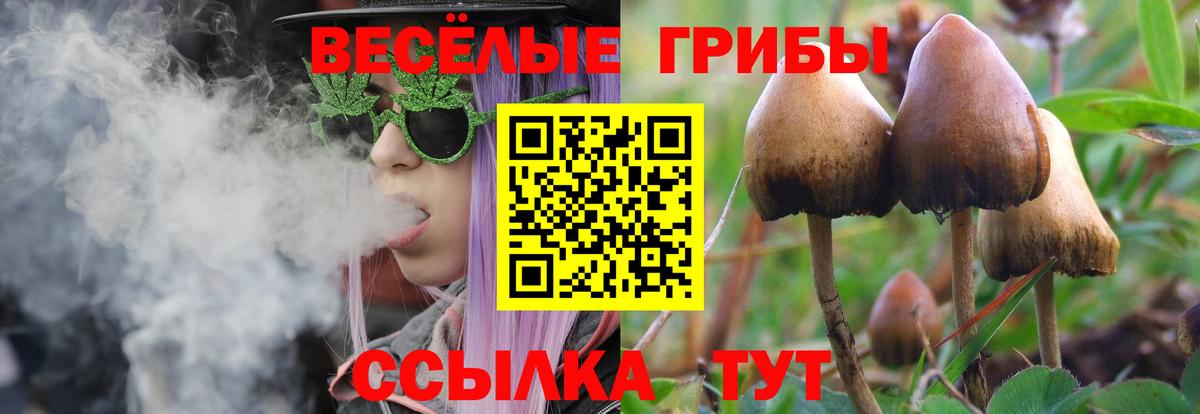 Галлюциногенные грибы мицелий Нурлат